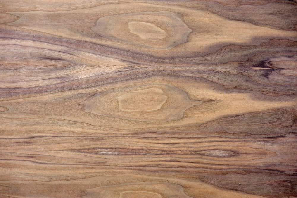 Black walnut wood texture