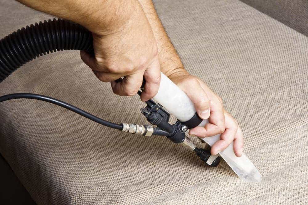 Professional cleaning sofas