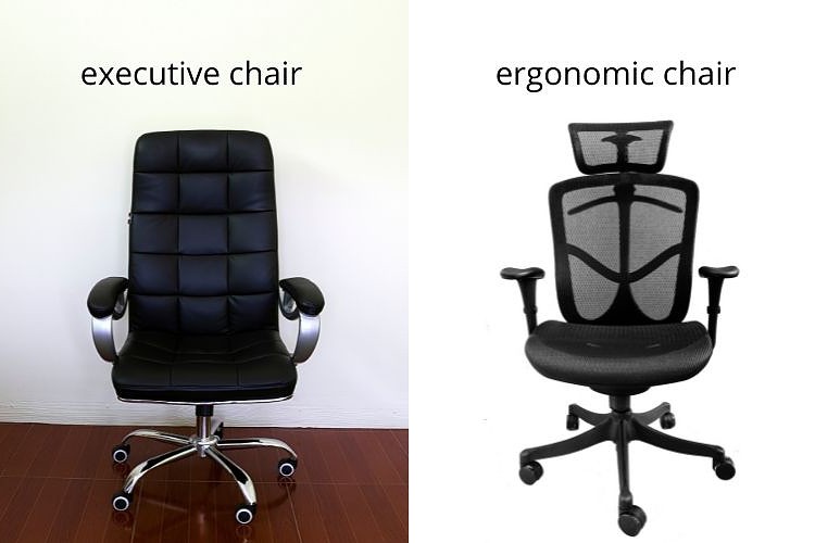 Executive vs. Ergonomic Chairs