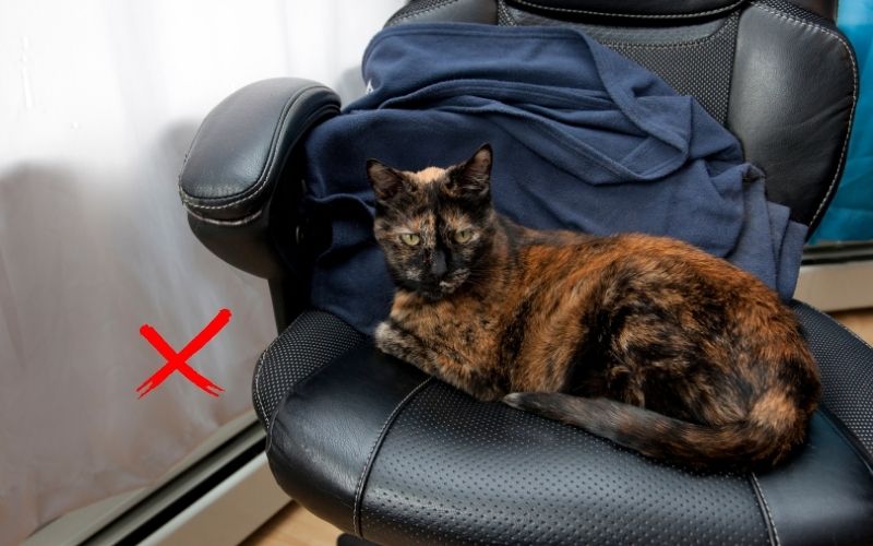 keep pets away from your office chair cushion