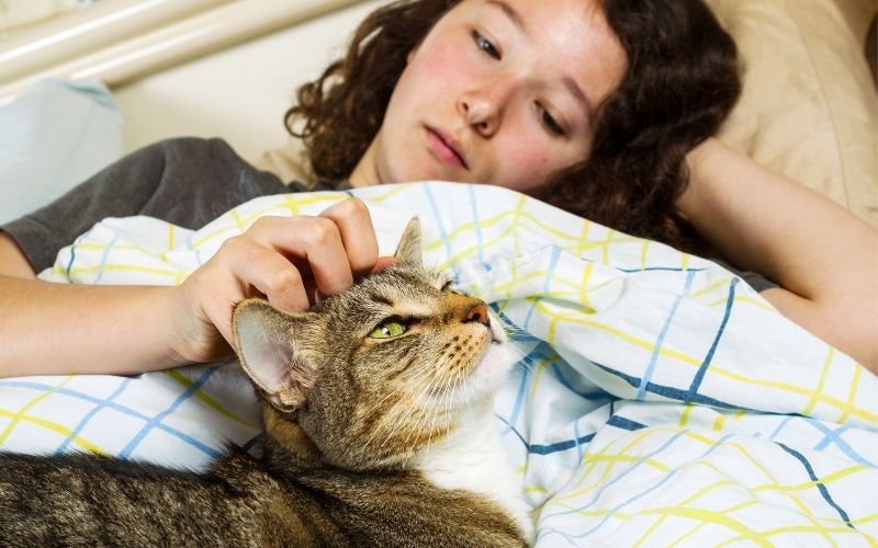 Cat with woman wake up together