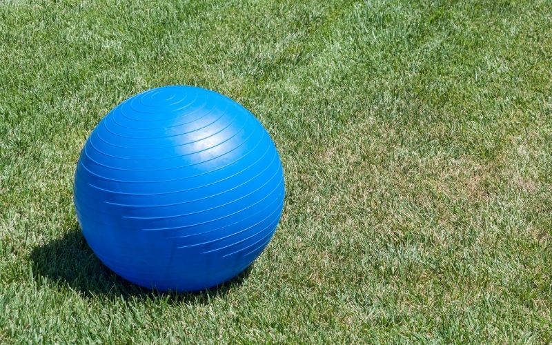 exercise ball on grass and expose to sunlight