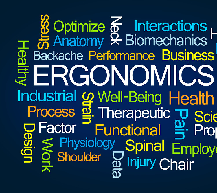 Ergonomic and its relative words