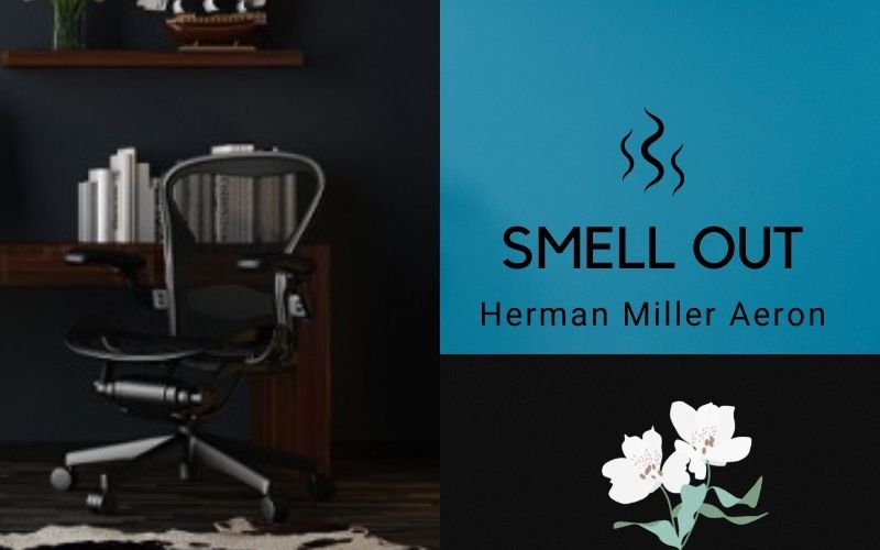 to get the smell out of my Aeron chair