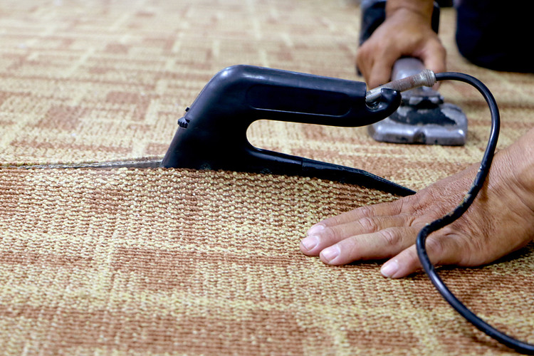 Iron the carpet